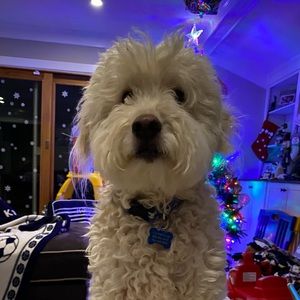 Meet your Posher, Douglas